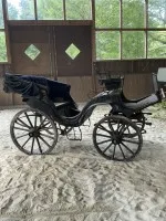 Historic Victoria horse-drawn carriage #2010-PR-209