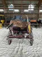 Sportkutsche #2010-PR-201