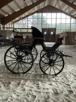 Sport carriage #2010-PR-202