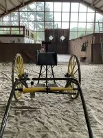 Салки #2010-PR-207