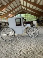 Historic horse-drawn carriage #2010-PR-211