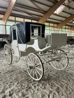 Witte paardenkoets #2010-PR-17