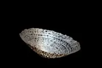 Coupe en argent fin 999/1000, soudée et forgée #0031