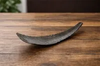 Coupe « Wing » #0045