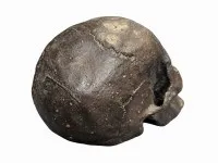 Originalgroßer Bronze-Schädel #1129