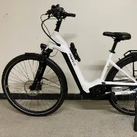 Vélo de ville électrique femme VOISFUND Pegasus