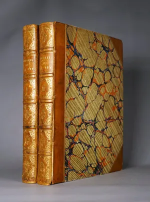 Badia, Domingo y Leblich — Travels of Ali Bey