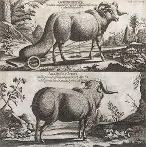 Ludolf, Hiob – Historia Aethiopica
