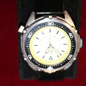 Montre-bracelet homme Timex