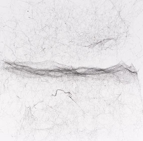 Tomás Saraceno, Semi-social mapping of BD+44° 631 by a solo Cyrtophora citricola - three weeks