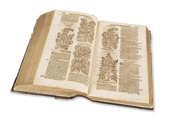 Jacob Theodor Tabernaemontanus, Neu vollkommen Kräuter-Buch