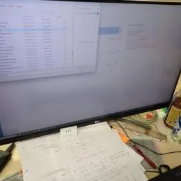 Moniteur 32" marque : LG