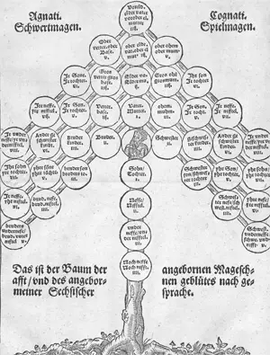 Август, курфюрст Саксонии – Ehe wirdt vornemlich, von wegen der Blutfreuntschafft