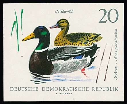20 Pfg. ducks, seven different imperforate mint never hinged phase printings, photo expert Paul