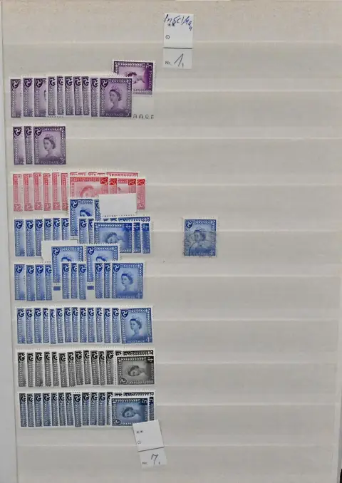 Isle of Man, varied compilation, mostly mint, some used, from no. 1/11, to 1998, chronologically in two thick albums. Including many complete sets, about 150 blocks and miniature sheets etc. Mi. 2400,-