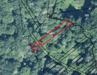 NO COMMISSION - Bullay-Mosel: Small forest plot in an interesting location