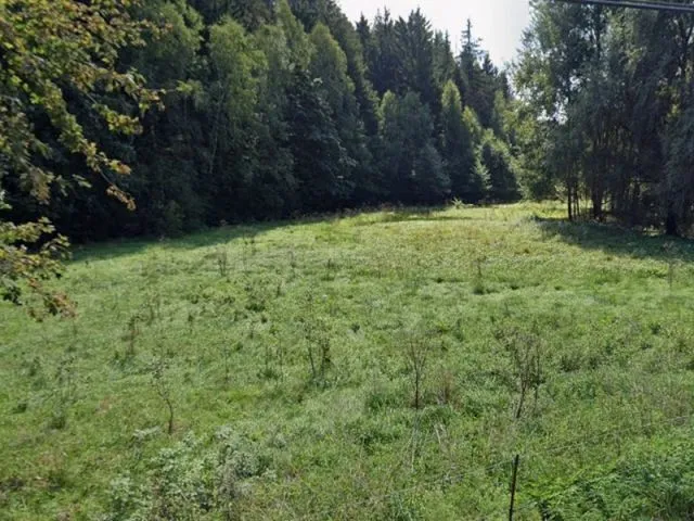 Луговые угодья в Фогтланде