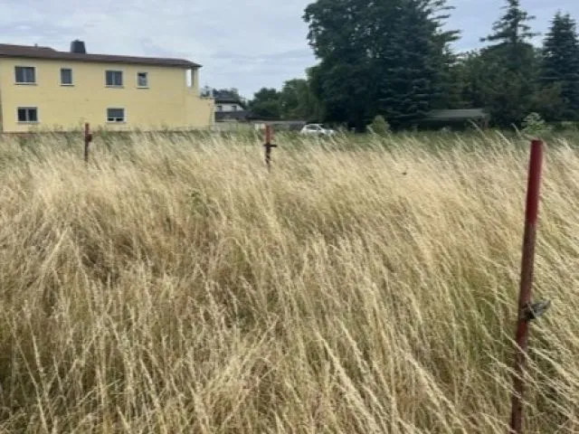 Klein met bomen begroeid perceel zonder contract