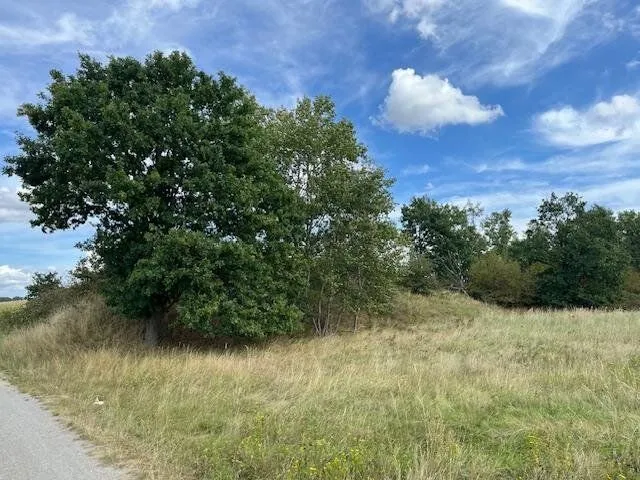 Vertragsfreie Waldfläche