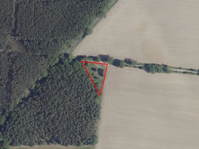 Grasland met verspreide bomen en struiken in het Schlaubetal