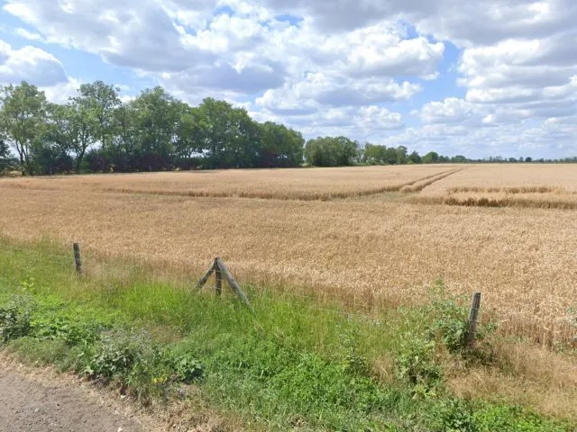 Versnipperde percelen (4 kadastrale percelen) op verspreide locaties in het district Märkisch-Oderland
