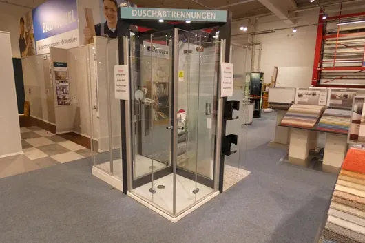 Shower door