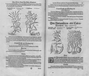 Mattioli, Pietro Andrea – Kreutterbuch