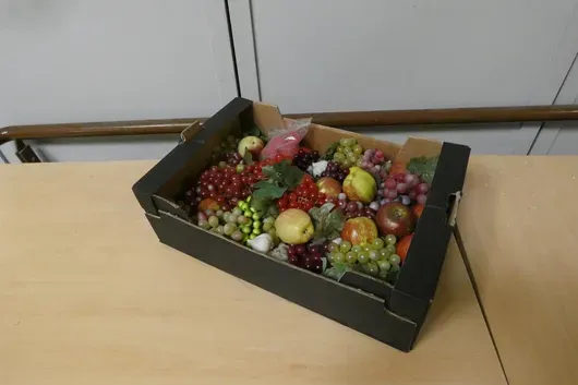 Zestaw sztucznych owoców