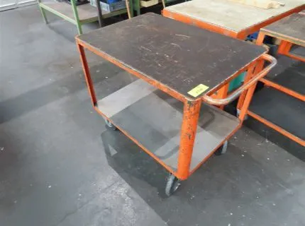 1 transport trolley, approx. 100 x 50 cm, 2 shelves