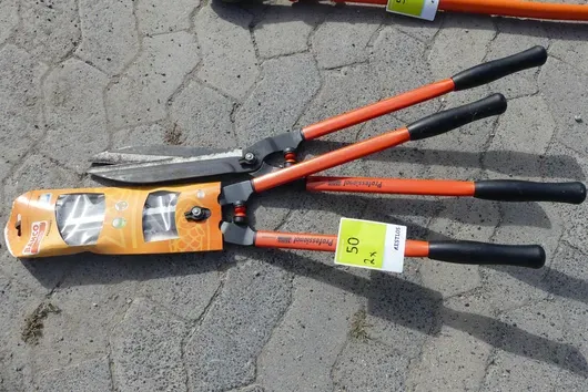 2x Taille-haie Bahco