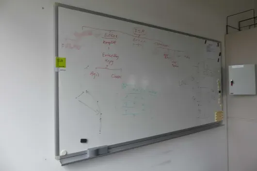 1x Whiteboard
