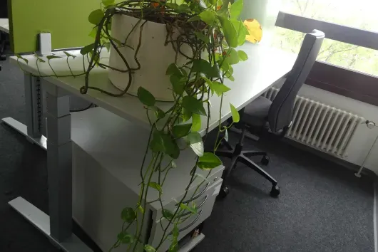 Ensemble de poste de travail avec 1 bureau à hauteur réglable électrique