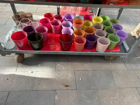 Lot of various flower pots
