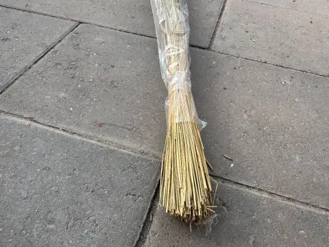 Decorative rush grass bundle