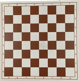 Autographe de GARRY KASPAROV sur échiquier en plastique/vinyle.