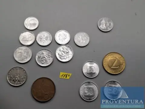 Oběžné mince 10x Česko 1x Slovensko 4x Slovinsko