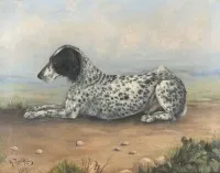 Liggende staande hond