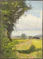 Paysage d'été