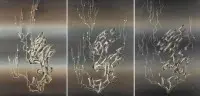 Triptyque 'Trois signes : Apparition. Changement. Disparition'