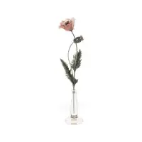 Grand coquelicot
