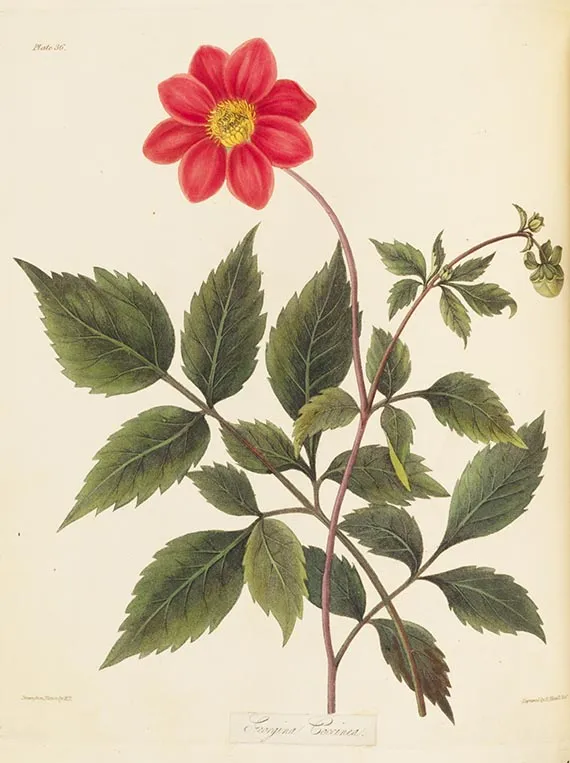 M. Roscoe (Mrs Edward Roscoe), Floral seasons, 1831