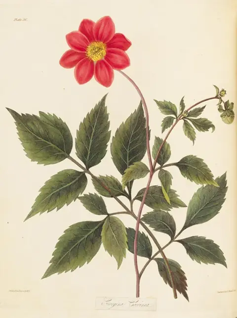 M. Roscoe (Mrs Edward Roscoe), Floral seasons, 1831