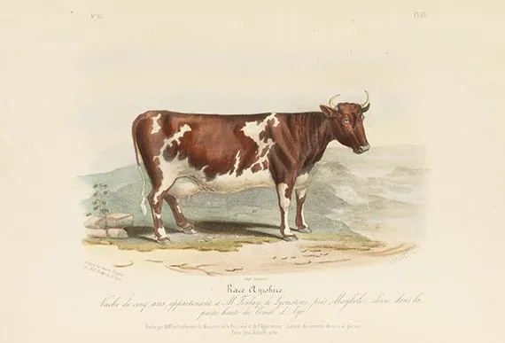 David Low, Histoire naturelle-agricole des animaux domestiques de l'Europe