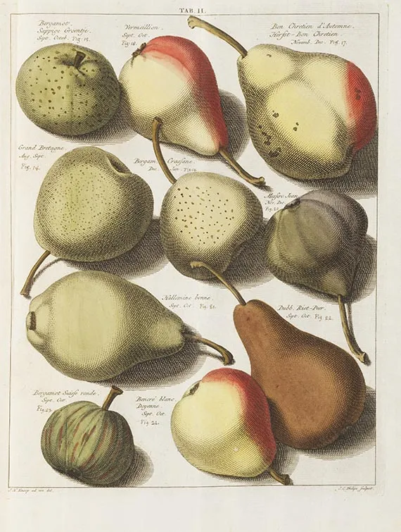 Johann Hermann Knoop, Pomologie sau descrierea celor mai bune soiuri de mere și pere