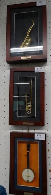 5 petits instruments de musique sous verre