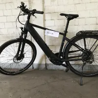 Herenfiets (Pegasus)