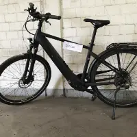 Vélo homme (Pegasus)