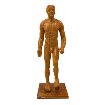 Medical human sculpture with acupuncture points.
