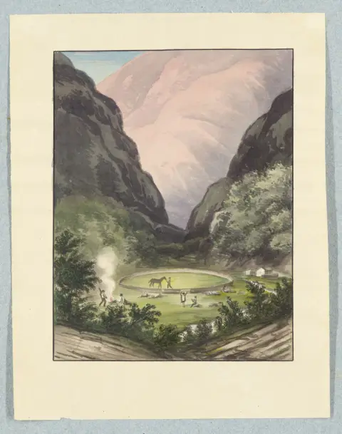Carl Fr. Ph. von Martius – Collection de 19 dessins à l'encre de Chine (lavés et en sépia) et aquarelles ainsi que 32 planches lithographiées de E.…