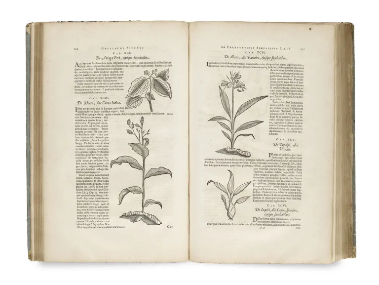 Willem a Georg Markgraf Piso – Historia naturalis Brasiliae, auspicio et benefi cio Illustriss